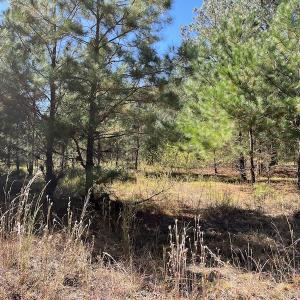 Photo #28 of SOLD property in Off Richland Drive, Pembroke, NC 3.5 acres