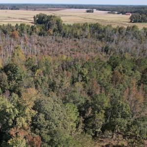 Photo #4 of SOLD property in Off Richland Drive, Pembroke, NC 3.5 acres