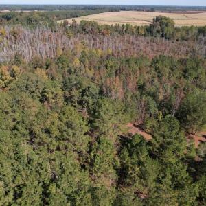 Photo #5 of SOLD property in Off Richland Drive, Pembroke, NC 3.5 acres