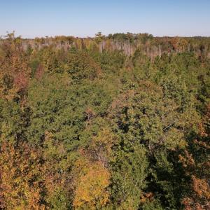 Photo #9 of SOLD property in Off Richland Drive, Pembroke, NC 3.5 acres