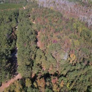Photo #2 of SOLD property in Off Richland Drive, Pembroke, NC 10.4 acres