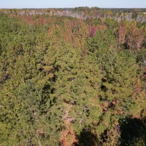 Photo #11 of SOLD property in Off Richland Drive, Pembroke, NC 10.4 acres