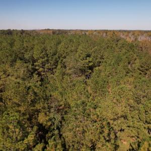 Photo #14 of SOLD property in Off Richland Drive, Pembroke, NC 10.4 acres