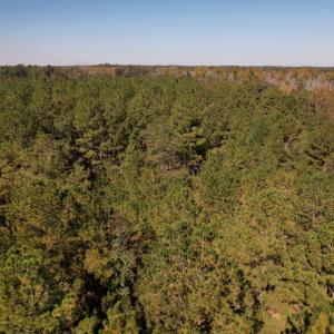 Photo #14 of SOLD property in Off Richland Drive, Pembroke, NC 10.4 acres