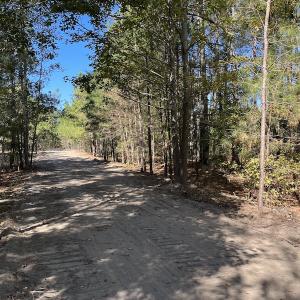 Photo #15 of SOLD property in Off Richland Drive, Pembroke, NC 10.4 acres