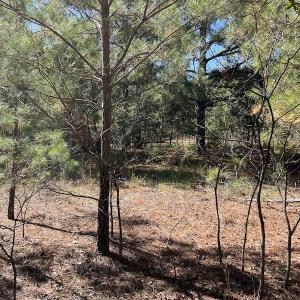 Photo #16 of SOLD property in Off Richland Drive, Pembroke, NC 10.4 acres