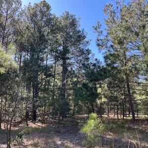 Photo #17 of SOLD property in Off Richland Drive, Pembroke, NC 10.4 acres