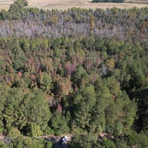 Photo #3 of SOLD property in Off Richland Drive, Pembroke, NC 10.4 acres