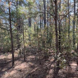 Photo #21 of SOLD property in Off Richland Drive, Pembroke, NC 10.4 acres