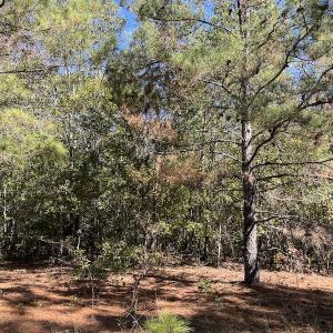 Photo #22 of SOLD property in Off Richland Drive, Pembroke, NC 10.4 acres