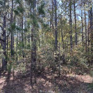 Photo #24 of SOLD property in Off Richland Drive, Pembroke, NC 10.4 acres