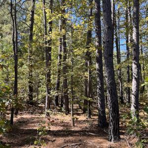Photo #27 of SOLD property in Off Richland Drive, Pembroke, NC 10.4 acres