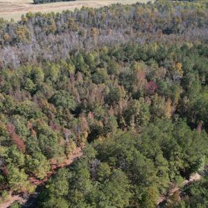 Photo #4 of SOLD property in Off Richland Drive, Pembroke, NC 10.4 acres