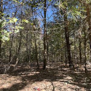 Photo #31 of SOLD property in Off Richland Drive, Pembroke, NC 10.4 acres