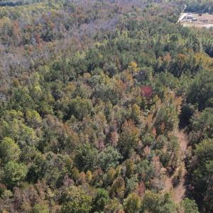 Photo #5 of SOLD property in Off Richland Drive, Pembroke, NC 10.4 acres