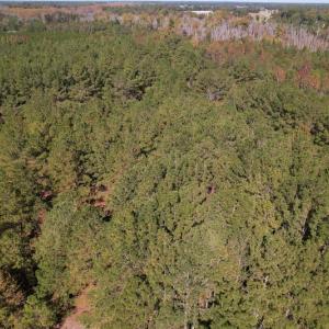 Photo #6 of SOLD property in Off Richland Drive, Pembroke, NC 10.4 acres