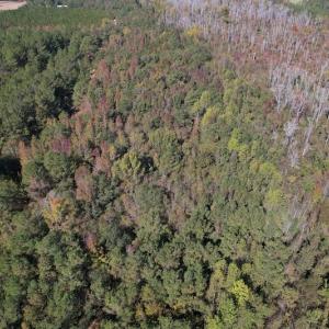 Photo #9 of SOLD property in Off Richland Drive, Pembroke, NC 10.4 acres
