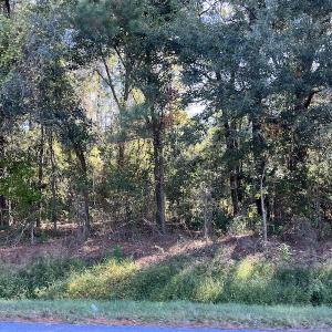 Photo #13 of SOLD property in Off Wilmington Highway, Orrum, NC 4.7 acres