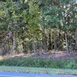 Photo #14 of SOLD property in Off Wilmington Highway, Orrum, NC 4.7 acres