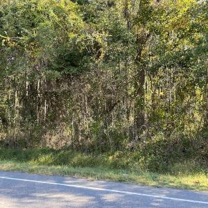 Photo #15 of SOLD property in Off Wilmington Highway, Orrum, NC 4.7 acres