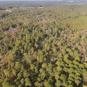 Photo #8 of SOLD property in 1315 Bull Street, Garland, NC 8.6 acres