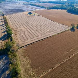 Photo #8 of Off Burnette Farm Road, Tarboro, NC 29.2 acres