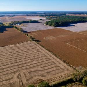 Photo #10 of Off Burnette Farm Road, Tarboro, NC 29.2 acres