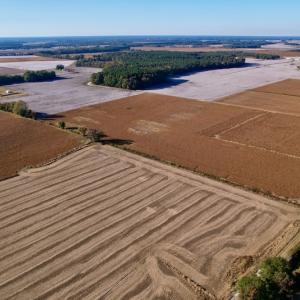 Photo #11 of Off Burnette Farm Road, Tarboro, NC 29.2 acres