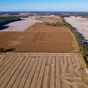 Photo #12 of Off Burnette Farm Road, Tarboro, NC 29.2 acres