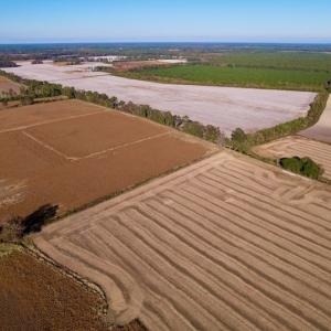 Photo #13 of Off Burnette Farm Road, Tarboro, NC 29.2 acres