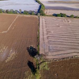 Photo #14 of Off Burnette Farm Road, Tarboro, NC 29.2 acres