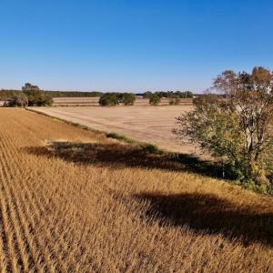 Photo #15 of Off Burnette Farm Road, Tarboro, NC 29.2 acres