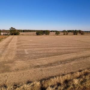 Photo #16 of Off Burnette Farm Road, Tarboro, NC 29.2 acres