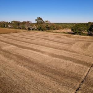 Photo #17 of Off Burnette Farm Road, Tarboro, NC 29.2 acres