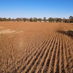 Photo #18 of Off Burnette Farm Road, Tarboro, NC 29.2 acres