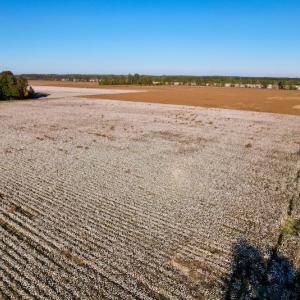 Photo #20 of Off Burnette Farm Road, Tarboro, NC 29.2 acres