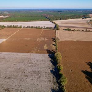 Photo #28 of Off Burnette Farm Road, Tarboro, NC 29.2 acres