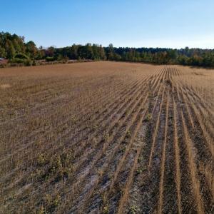 Photo #30 of Off Burnette Farm Road, Tarboro, NC 29.2 acres