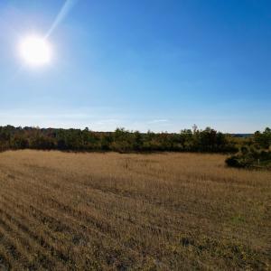 Photo #31 of Off Burnette Farm Road, Tarboro, NC 29.2 acres