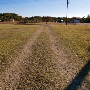 Photo #33 of Off Burnette Farm Road, Tarboro, NC 29.2 acres