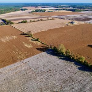 Photo #3 of Off Burnette Farm Road, Tarboro, NC 29.2 acres