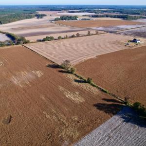 Photo #4 of Off Burnette Farm Road, Tarboro, NC 29.2 acres