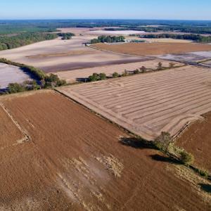 Photo #5 of Off Burnette Farm Road, Tarboro, NC 29.2 acres