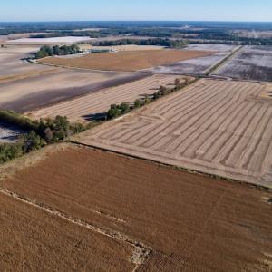 Photo #6 of Off Burnette Farm Road, Tarboro, NC 29.2 acres