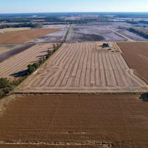 Photo #7 of Off Burnette Farm Road, Tarboro, NC 29.2 acres