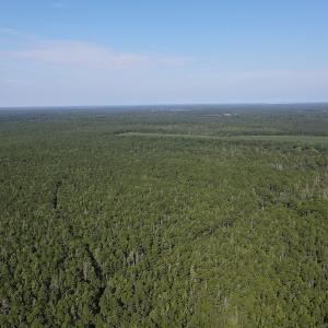 Photo #2 of Off Adams Creek, Havelock, NC 1,287.0 acres