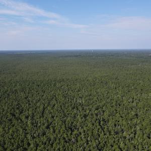 Photo #3 of Off Adams Creek, Havelock, NC 1,287.0 acres