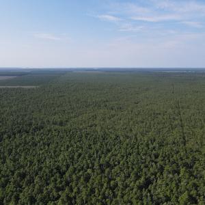Photo #4 of Off Adams Creek, Havelock, NC 1,287.0 acres