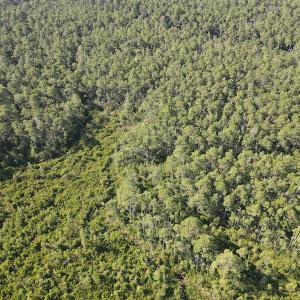 Photo #8 of Off Adams Creek, Havelock, NC 1,287.0 acres