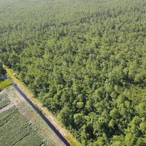 Photo #9 of Off Adams Creek, Havelock, NC 1,287.0 acres
